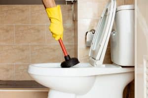 fix a clogged toilet bowl